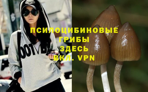 винт Алексеевка