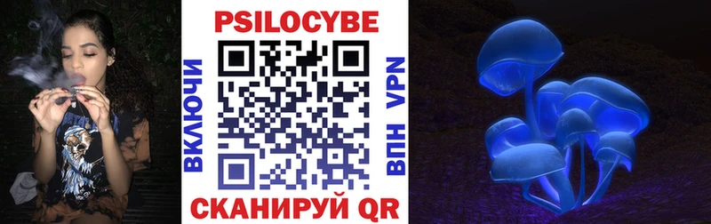 Галлюциногенные грибы Cubensis  Камешково 